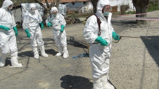 Türkiye sınırında H5N8 virüsü