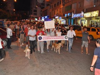 Hayvanseverler saldırıya uğrayan Mia için yürüdü