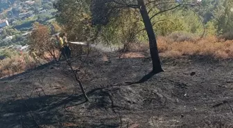 Hatay’da Orman Yangını Büyümeden Söndürüldü