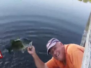 Koca balığı eliyle yakalayan adam İZLE