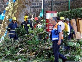 Portekizde ağaç 11 can aldı