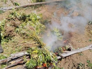 Bingölde uyuşturucu operasyonu