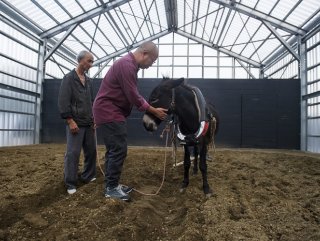 Bülent Eczacıbaşından eşek eleştirilerine esprili yanıt