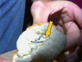 Ekmekten inşaat teli çıktı